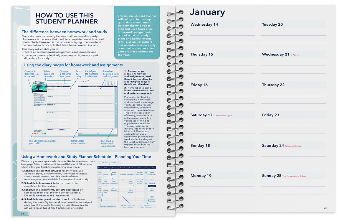 StudyQuest Catholic Student Diary