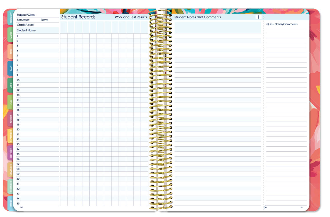 Florentina Premium - Wildflower Whispers