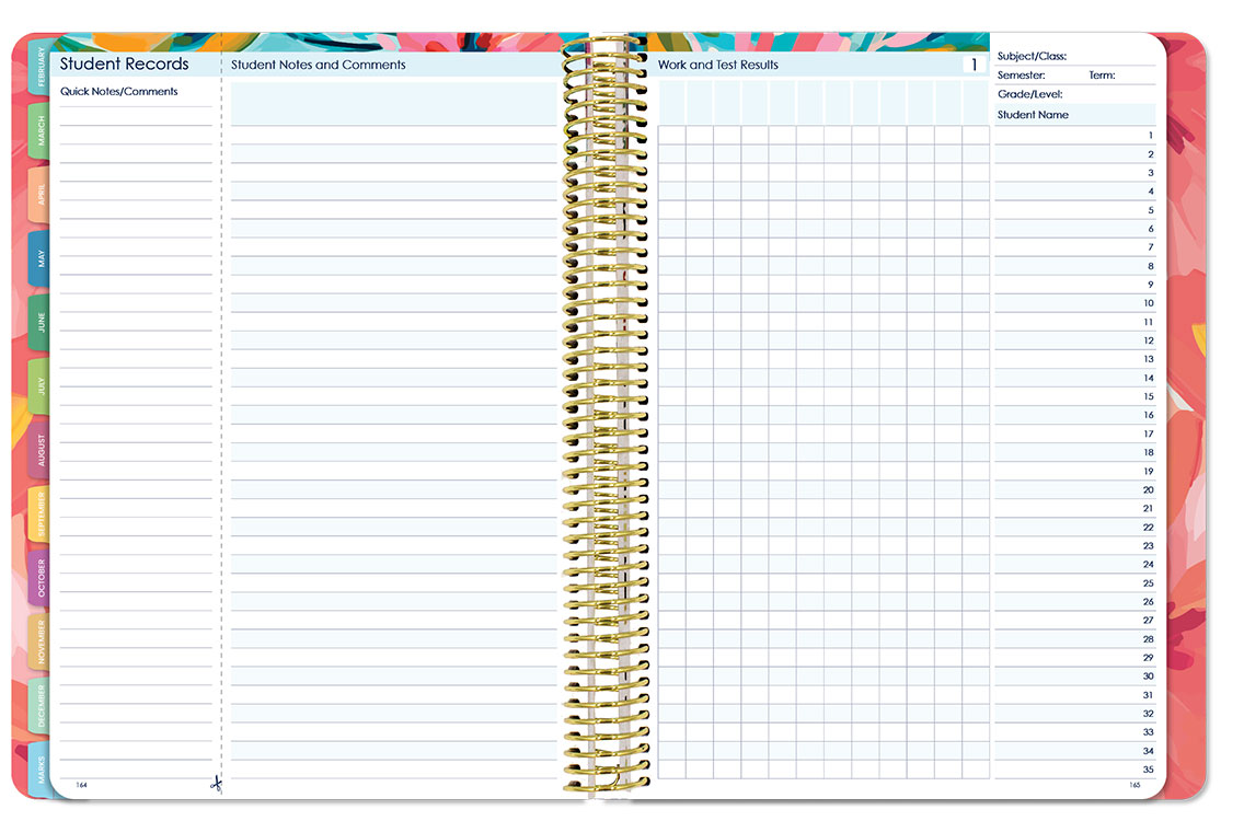 Florentina Premium - Wildflower Whispers