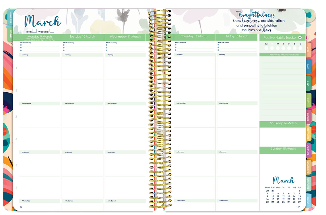 Florentina Premium - Wildflower Whispers