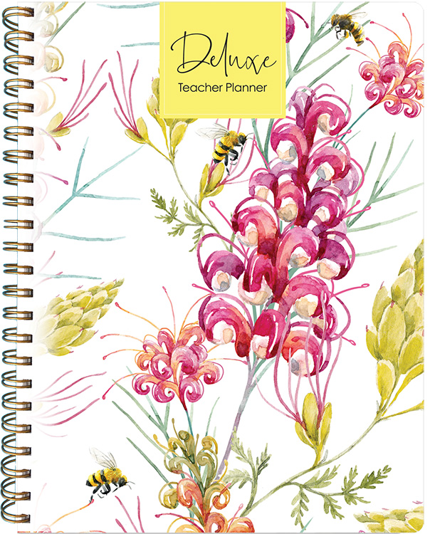 Deluxe Primary Weekly Grevillea