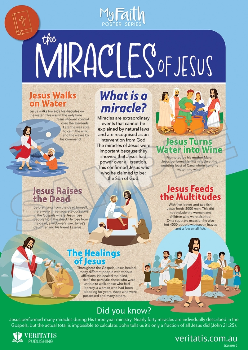 The Miracles of Jesus (Bible History Series)