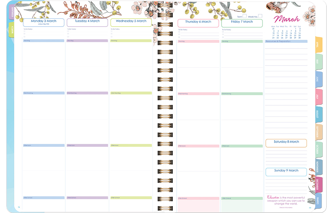 Deluxe Primary Weekly Blueberry