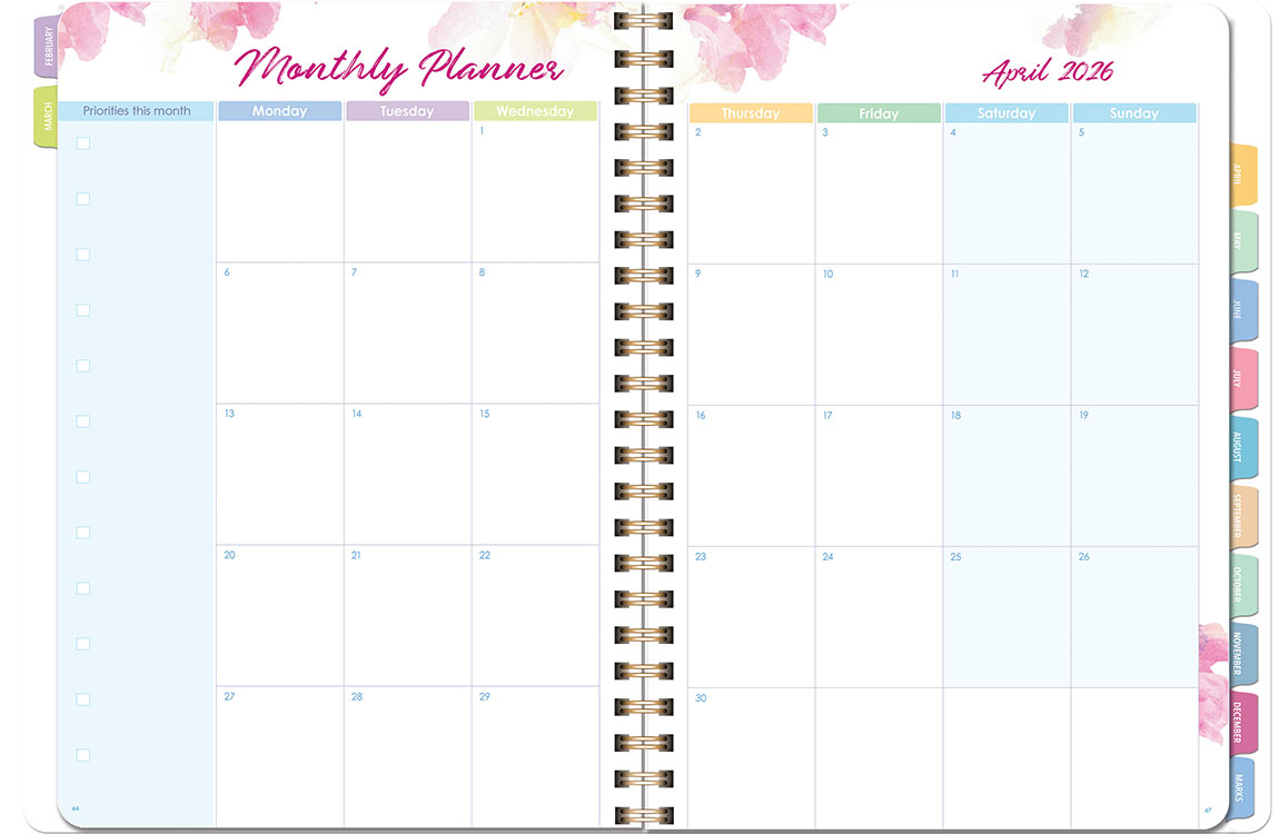 Deluxe Primary Weekly Rouge