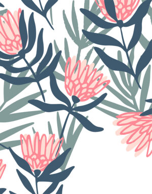 Inspiration Cover – Blushing Protea
