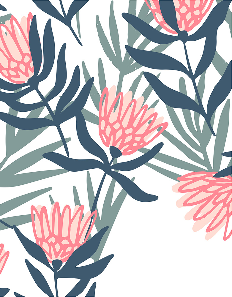 Inspiration Cover – Blushing Protea