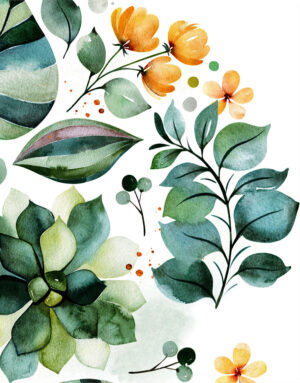 Inspiration Cover – Eucalypt