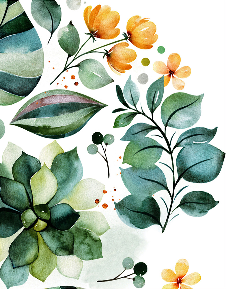 Inspiration Cover - Eucalypt