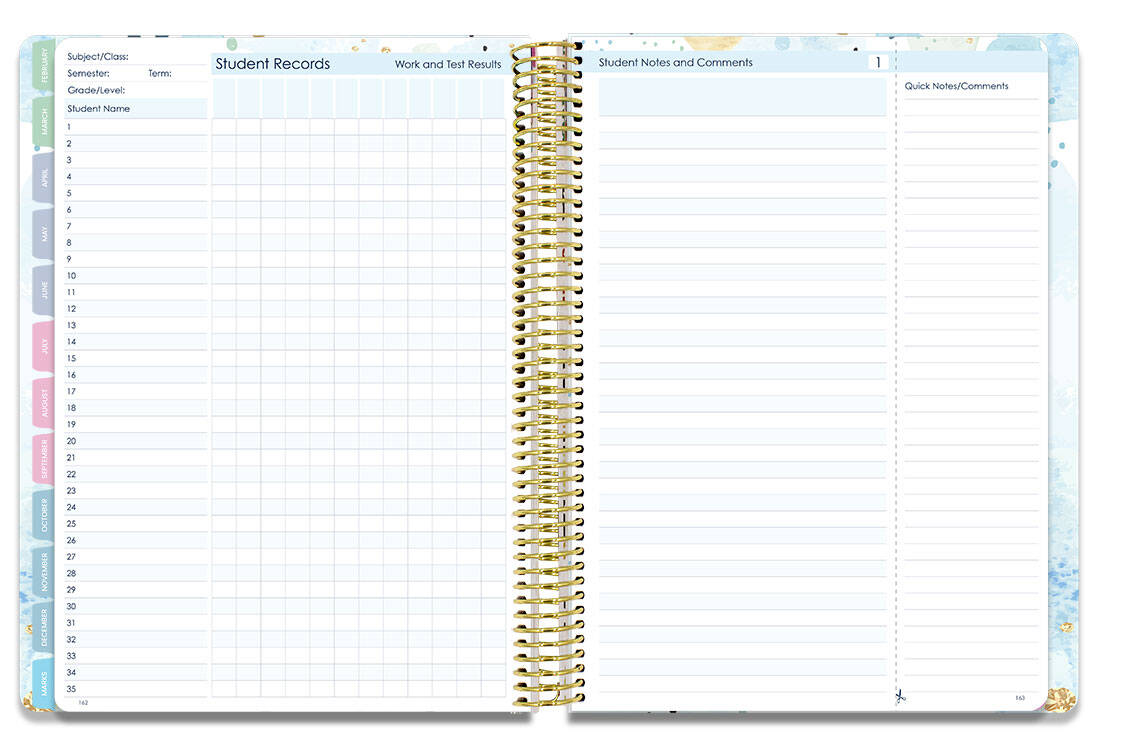 Luxe Planner Rose Quartz